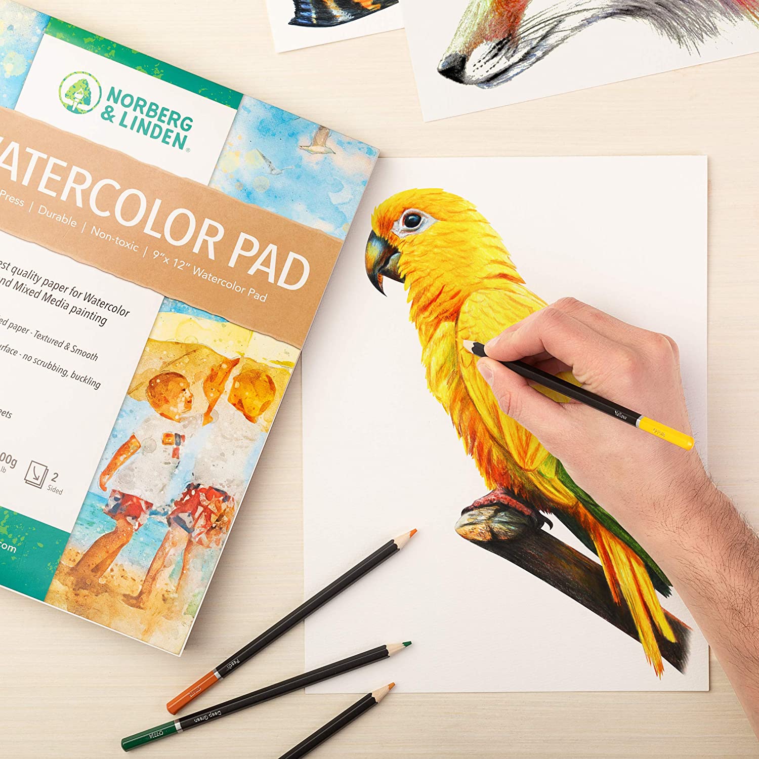 Linden Art Watercolor Journal [Full Product Review with
