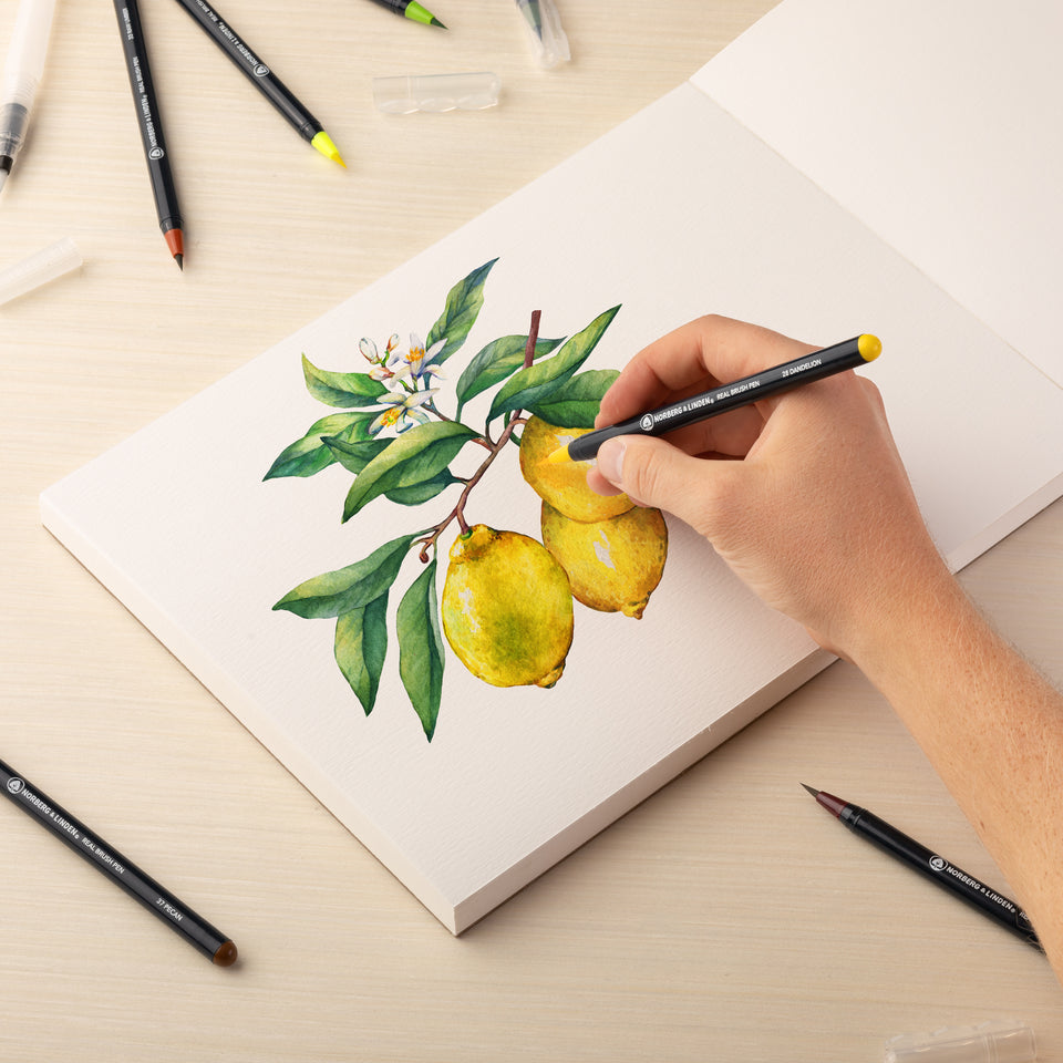 COLORBRUSH - watercolor pencil/paintbrush - SET OF 12 – Pine & Moss