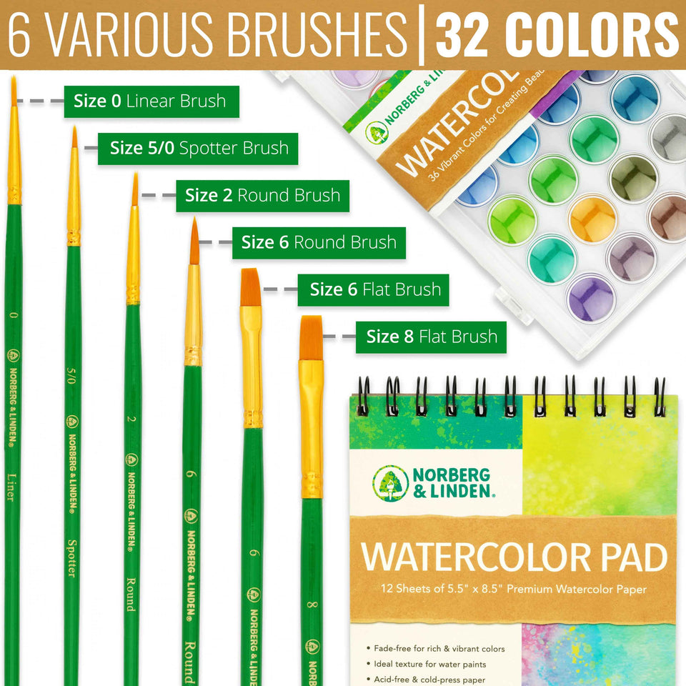 Brushes Infographic